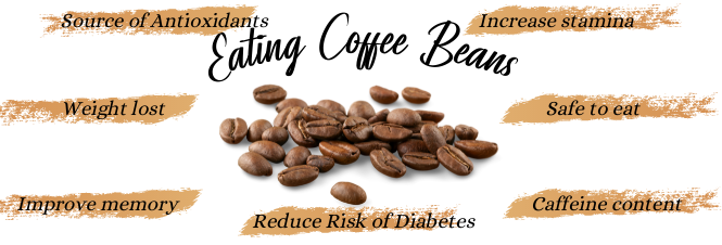 Eating Coffee Beans and its possitive effects by Dash of Vigor