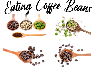 Eating Coffee Beans by Dash of Vigor