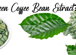 What is Green Coffee Bean Extract