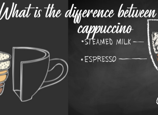 What is the difference between cortado vs cappuccino