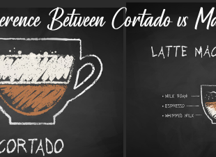 What is the Difference Between Cortado vs Macchiato